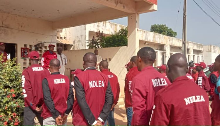 NDLEA intercepts drugs worth N3.4bn, uncovers 942 explosives