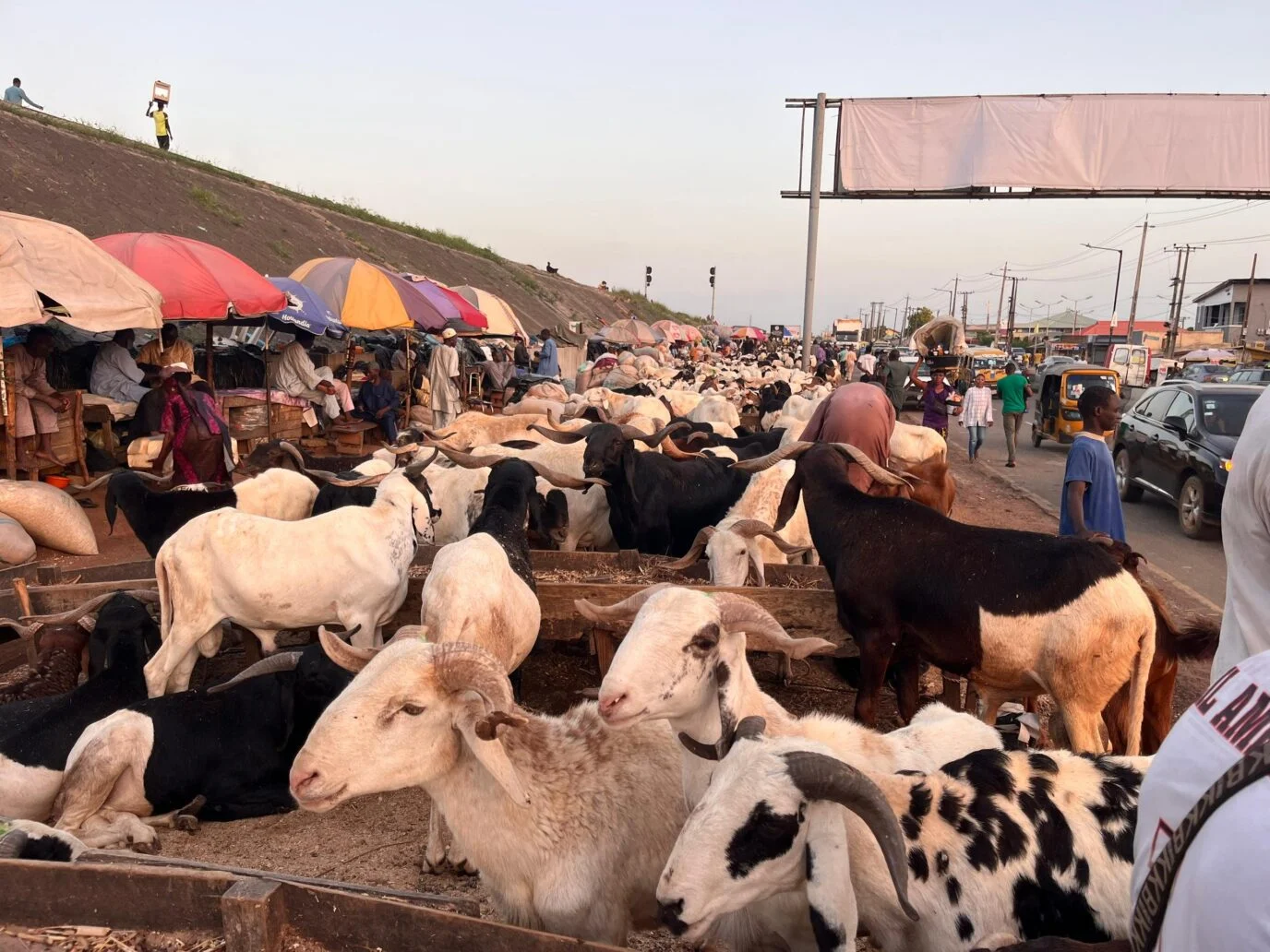 FG declares Friday, Monday as public holidays for Eid-el-Kabir celebration