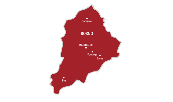 ‘Female suicide bomber kills 12, injures 18 in Borno’ – Police