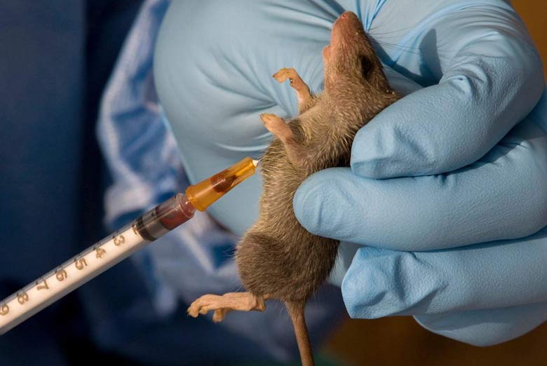 MSF scales up fight against Lassa fever in Ebonyi