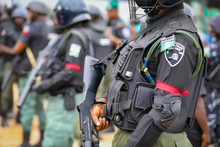 Police arrest Bauchi woman for kidnapping newborn, killing two girls