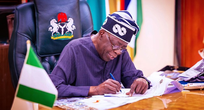 Tinubu appoints Akinfeleye, others to varsities’ governing councils